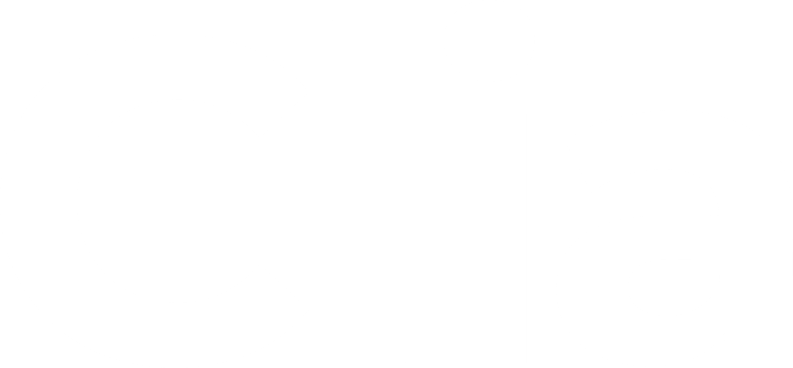 Clia s.r.l.